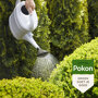 Pokon Bitterzout Groenmaker sfeer